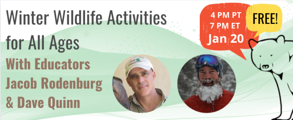 Winter Wildlife Activities for All Ages