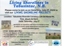 Living Shorelines in Tabusintac