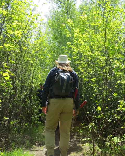 Journée de formation des bénévoles – Réserve naturelle du parc Hyla