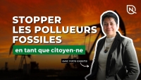 Webinar - Ending impunity for fossil fuel polluters, as a citizen