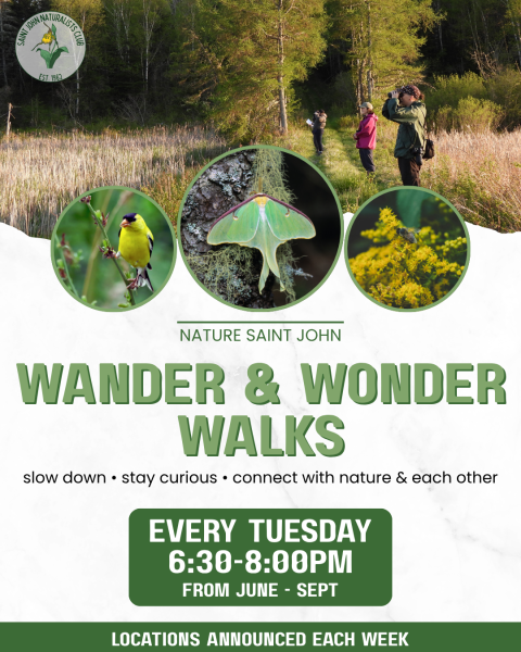 Wander &amp; Wonder Walks: The Rez
