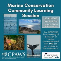 Marine Conservation Community Learning Session - St. Andrews