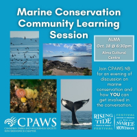 Marine Conservation Community Learning Session - Alma