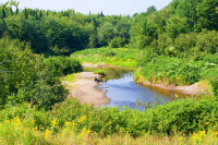 Forested Wetlands Workshop– Woodstock