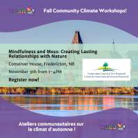Mindfulness and Moss: Creating Lasting Relationships with Nature