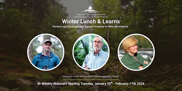 Forests and Ecologically Based Forestry in NB - Part 3
