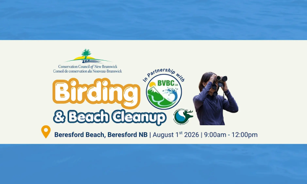 Coastal Connections Beach Clean Up and Birding Walk - Beresford