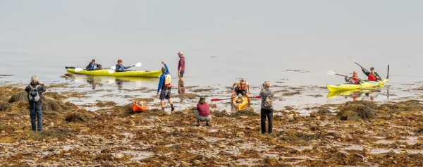 Kayak Tours of Navy Island: Provided by In Step Adventures