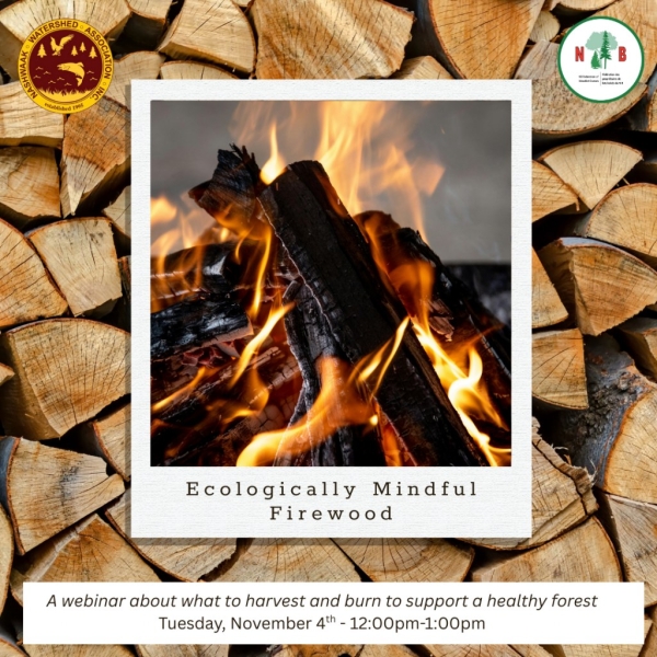 WEBINAR: Ecologically Mindful Firewood