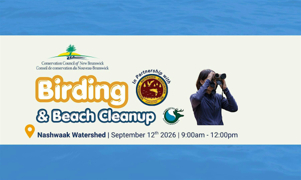 Coastal Connections Beach Clean-Up and Birding Walk - Neils Flat's