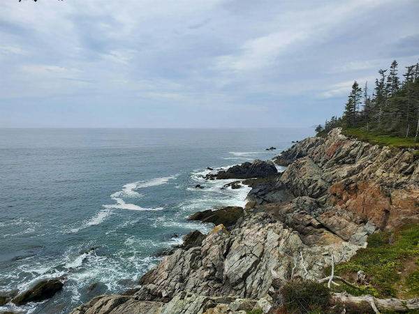 Celebrate Ocean Day at New River Beach - Nature Walk
