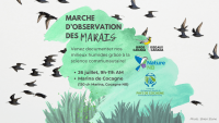 MarshWatch Walk (French Program)