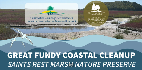Coastal Connections x Great Fundy Coastal Cleanup!