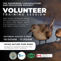Volunteer Training Session for Shorebird Conservation and Education Project