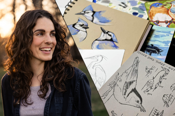 Live Sketching with Liz